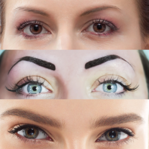 Evolution of eyebrow shape